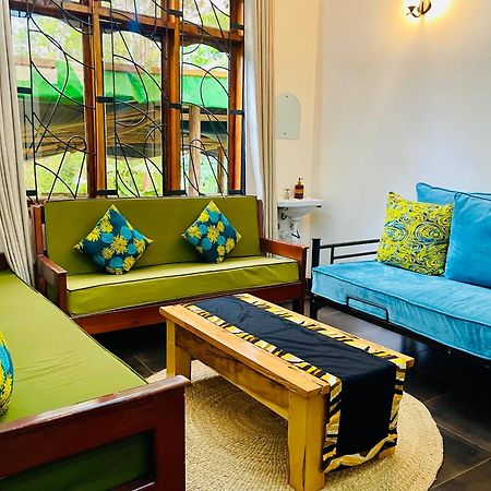 Sophie Homestay 莫希 外观 照片