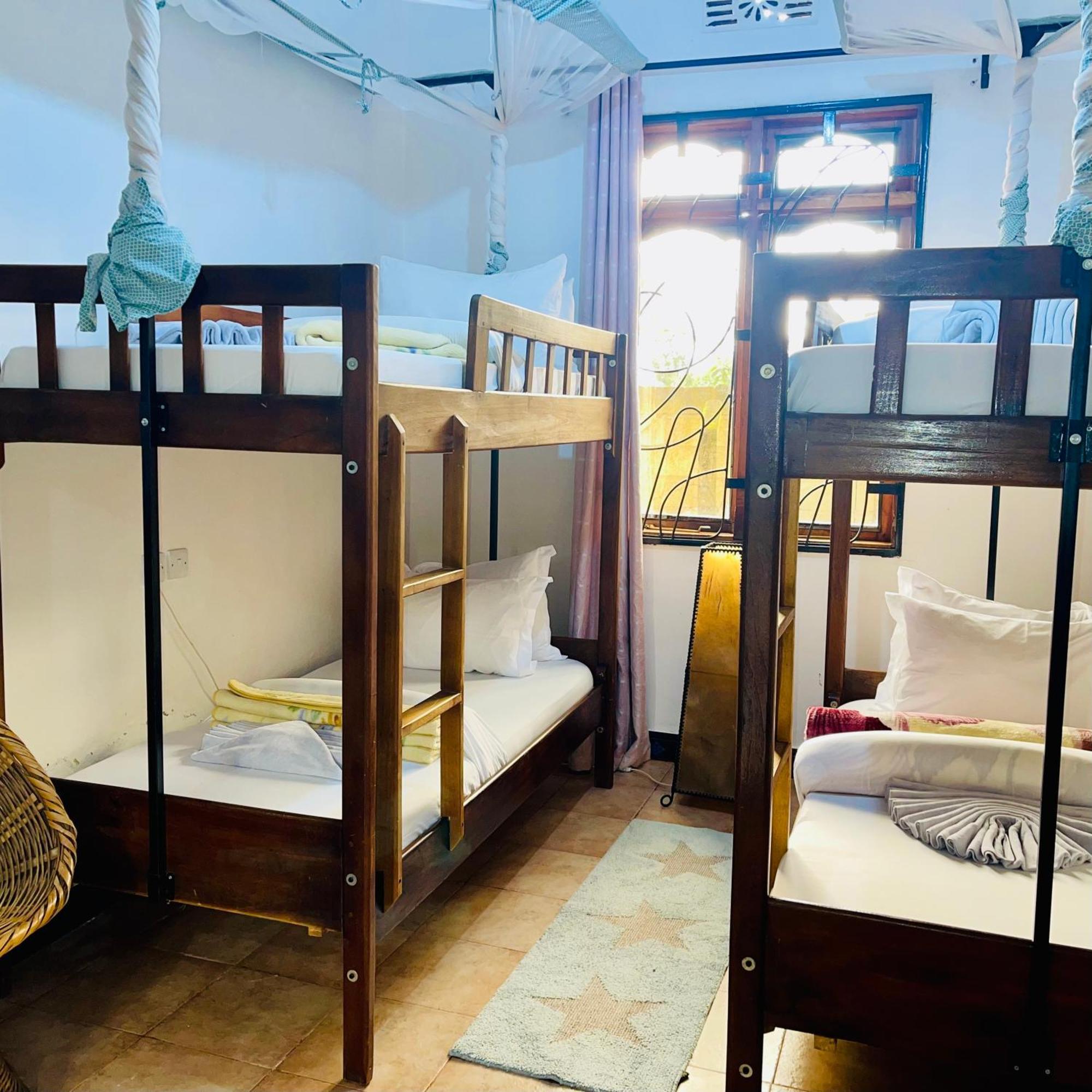 Sophie Homestay 莫希 外观 照片