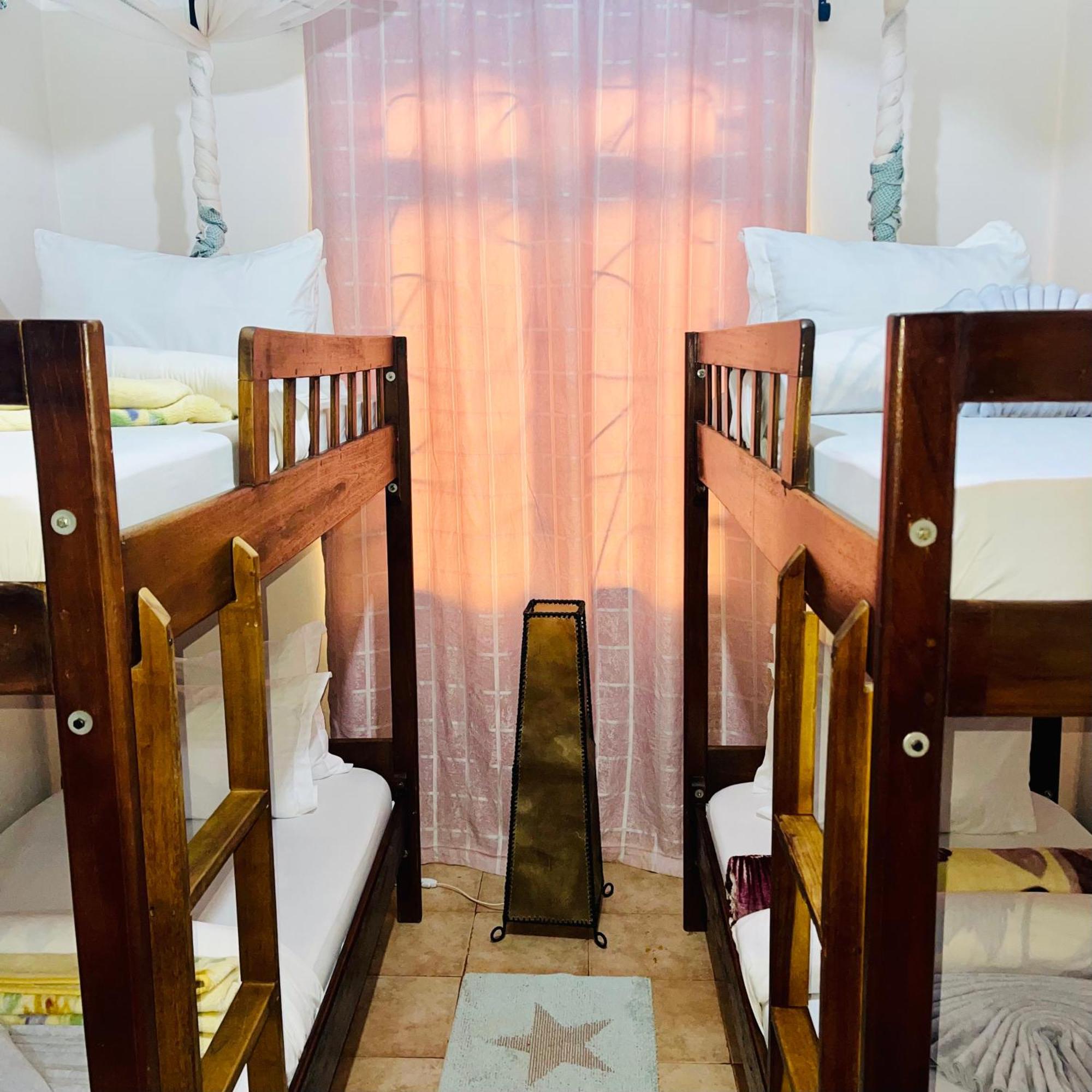 Sophie Homestay 莫希 外观 照片