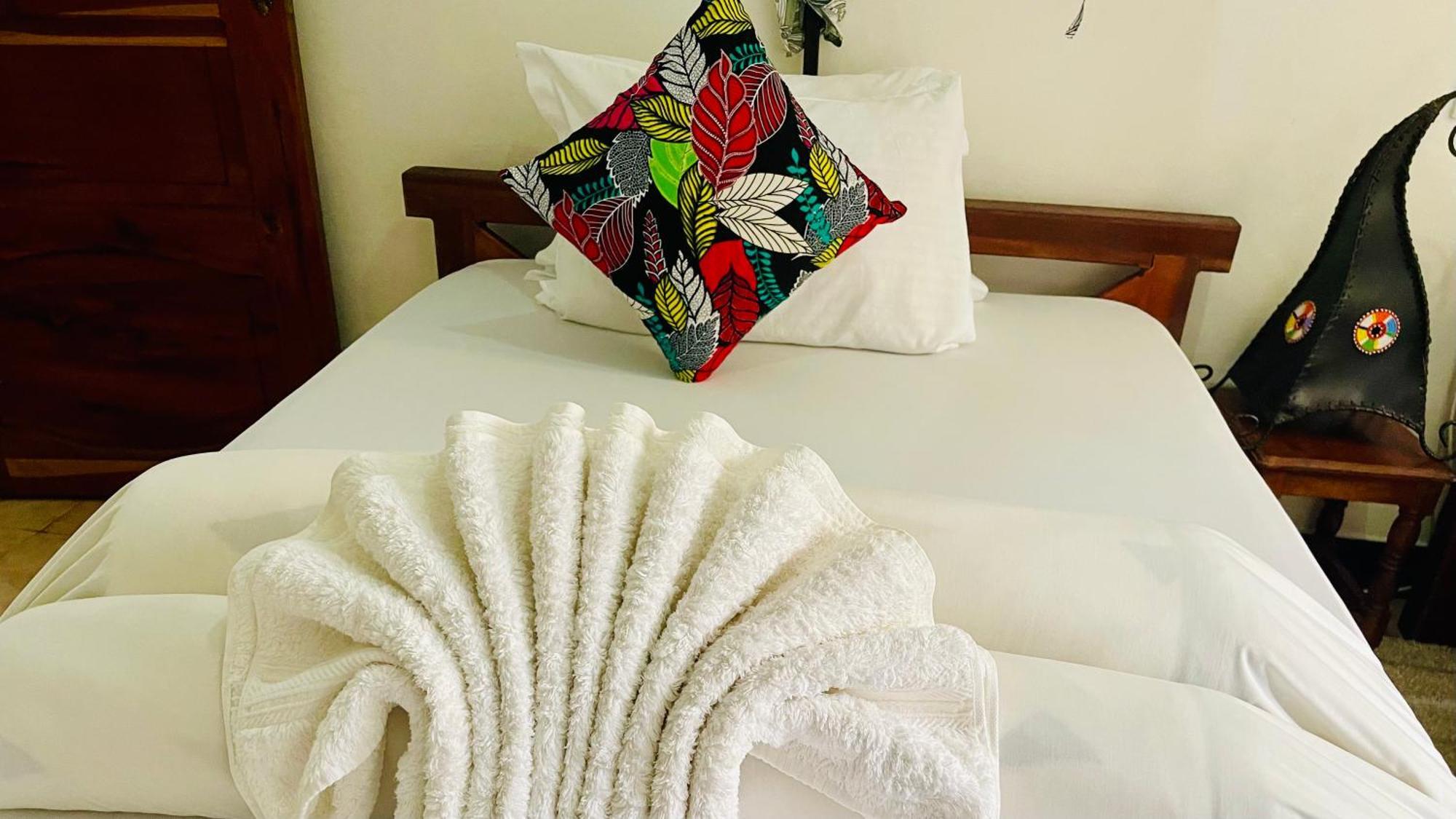 Sophie Homestay 莫希 外观 照片