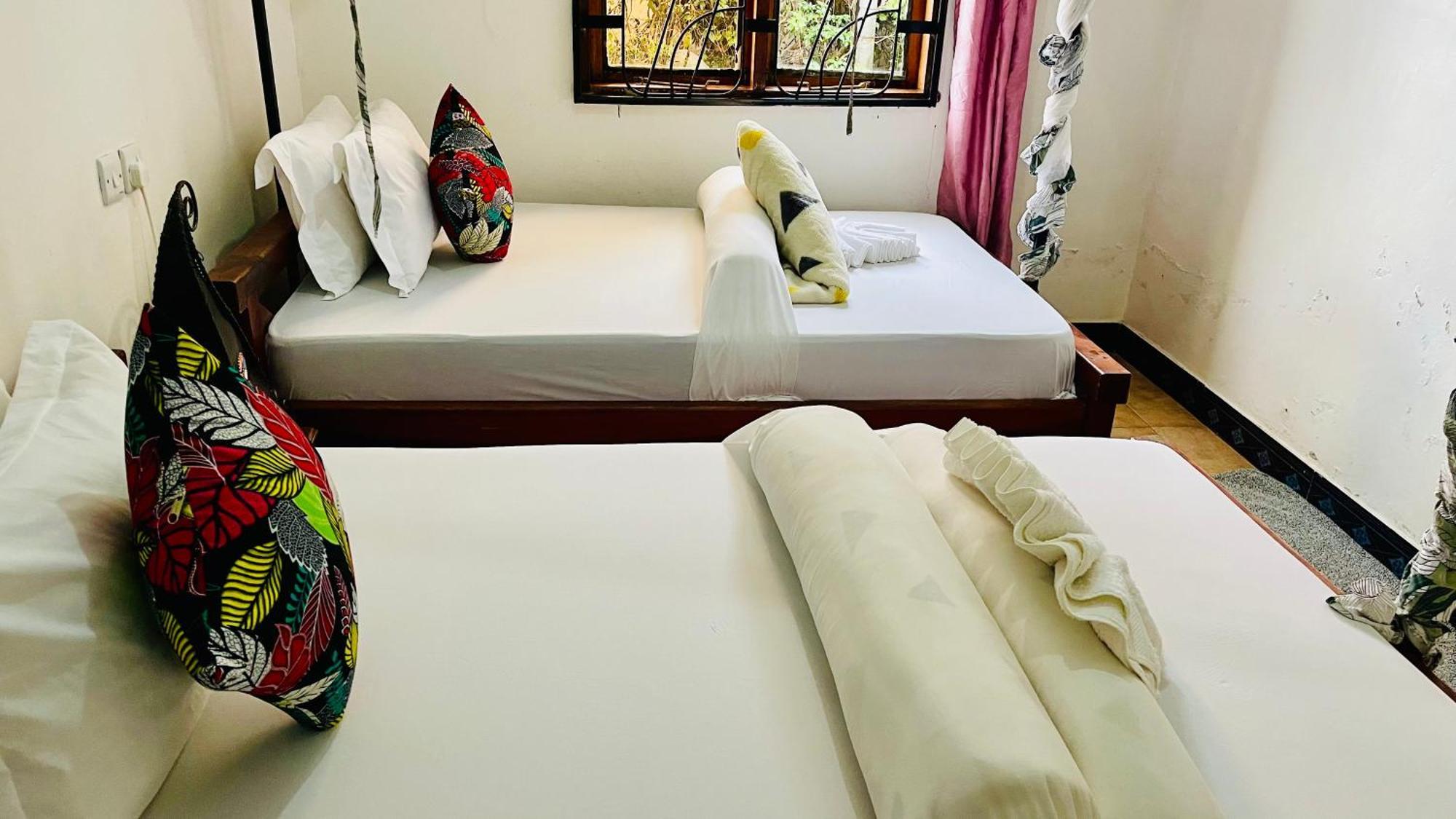 Sophie Homestay 莫希 外观 照片